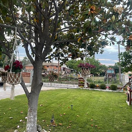 Pandwra apartment Chaidefto Bagian luar foto